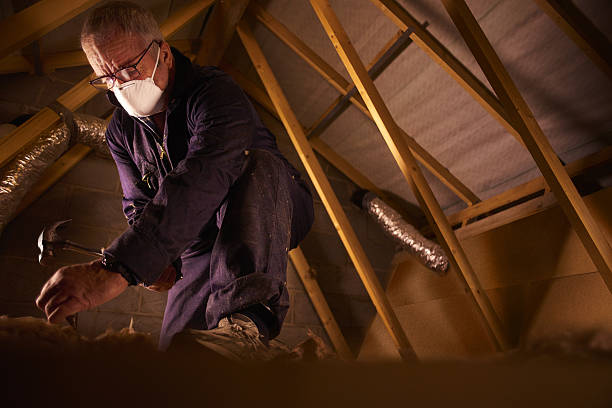 Best Specialized Insulation Services in Scottsboro, AL